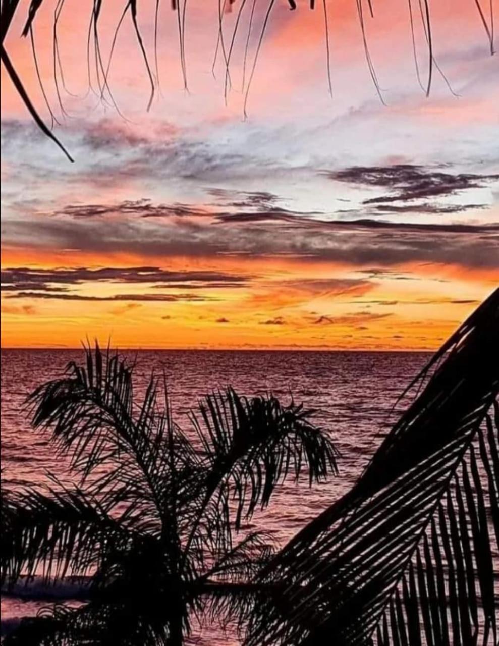 Hostal Corales Tolú エクステリア 写真